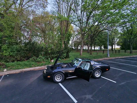 1981 Chevrolet Corvette