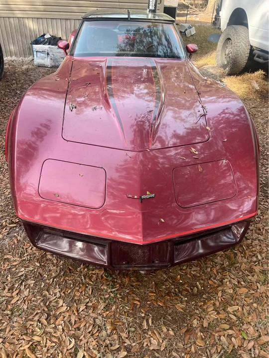 1981 Chevrolet Corvette C3 - Image 6 of 7