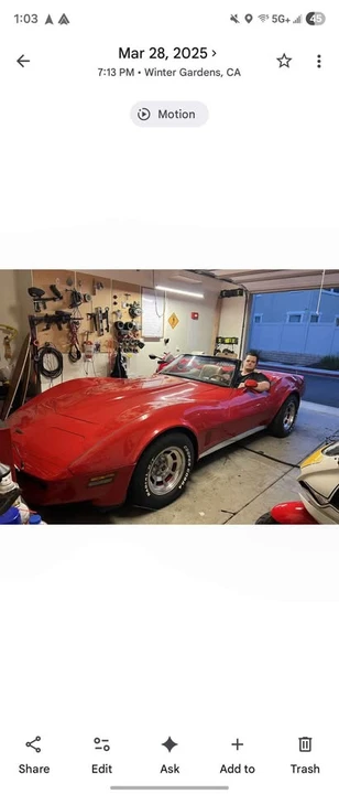 1981 Chevrolet Corvette C3 - Image 6 of 6