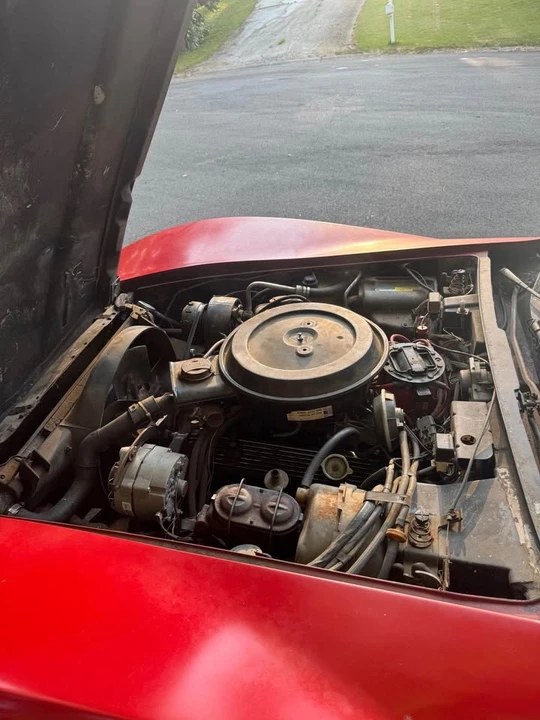1981 Chevrolet Corvette C3 - Image 7 of 17
