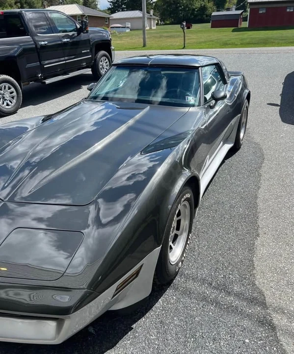 1981 Chevrolet Corvette C3 - Image 15 of 16