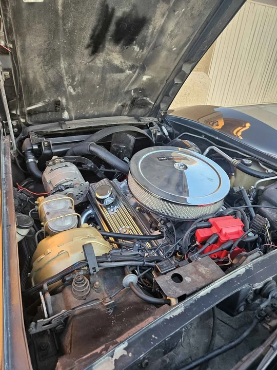 1981 Chevrolet Corvette C3 - Image 6 of 11