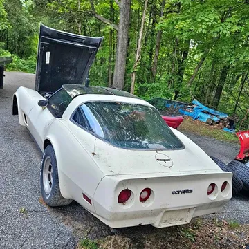 1981 Chevrolet Corvette Coupe 2D