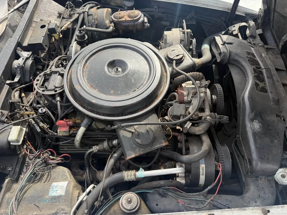 1981 Chevrolet Corvette C3 - Image 20 of 20
