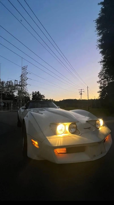 1981 Chevrolet Corvette C3 - Image 8 of 11