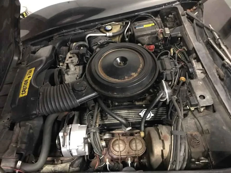 1981 Chevrolet Corvette C3 - Image 6 of 6