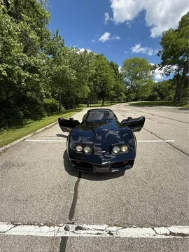 1981 Chevrolet Corvette C3 - Image 2 of 13