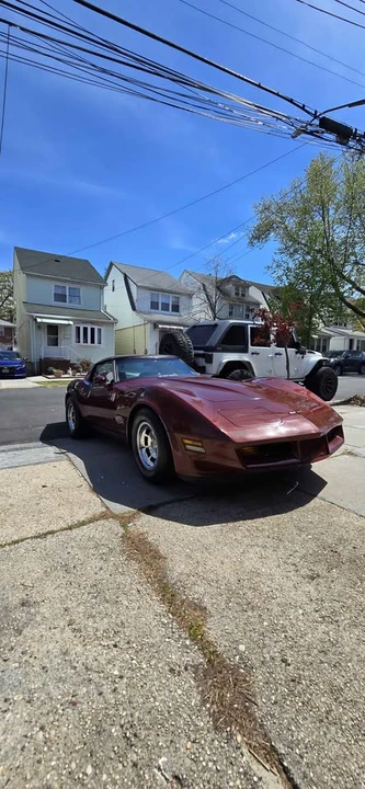 1981 Chevrolet Corvette C3 - Image 4 of 14