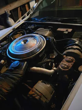 1981 Chevrolet Corvette C3 - Image 3 of 4