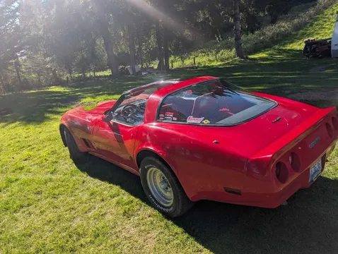 1981 Chevrolet Corvette C3 - Image 2 of 9