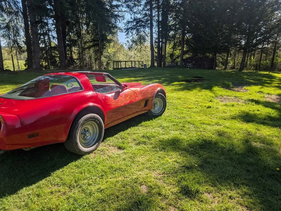 1981 Chevrolet Corvette C3 - Image 9 of 9