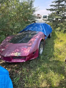 1981 Chevrolet Corvette Coupe