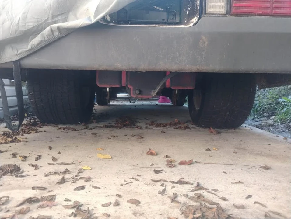 1981 Chevrolet Malibu - Image 2 of 7