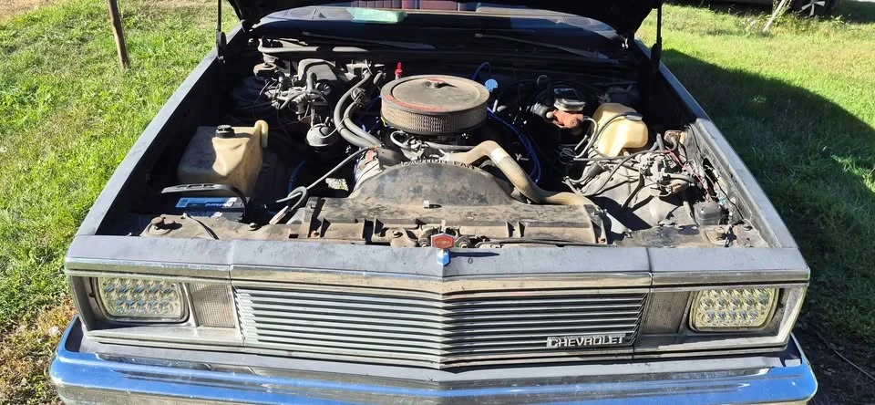 1981 Chevrolet Malibu - Image 3 of 9