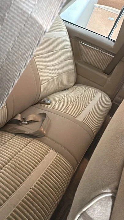 1981 Chevrolet Malibu - Image 12 of 19
