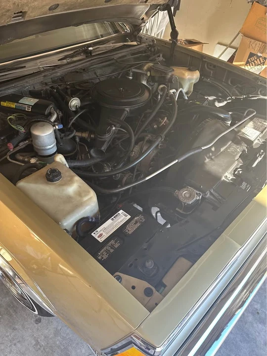 1981 Chevrolet Malibu - Image 14 of 19