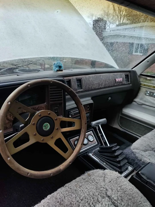 1981 Chevrolet Monte Carlo 3rd Gen - Image 6 of 6