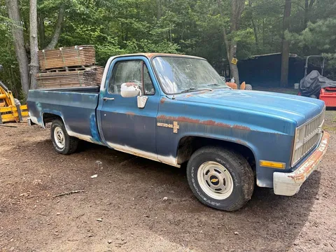 1981 Chevrolet C10