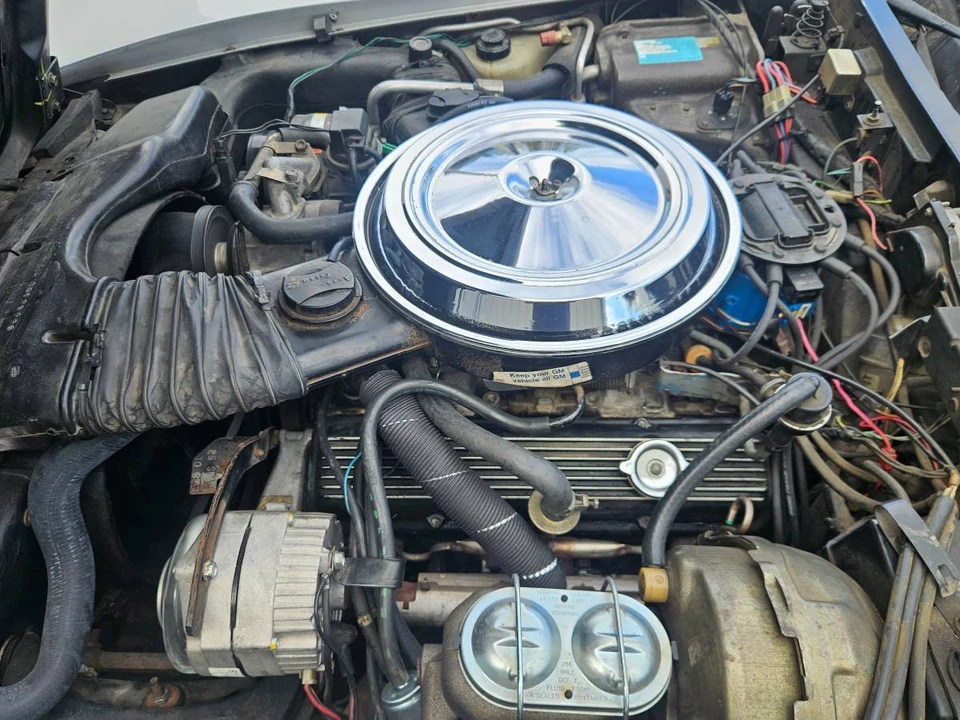 1981 Chevrolet Corvette C3 - Image 10 of 11