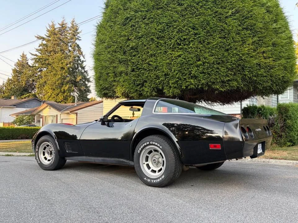 1981 Chevrolet Corvette C3 - Image 2 of 9