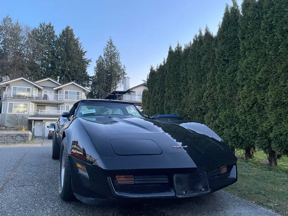 1981 Chevrolet Corvette C3 - Image 11 of 13