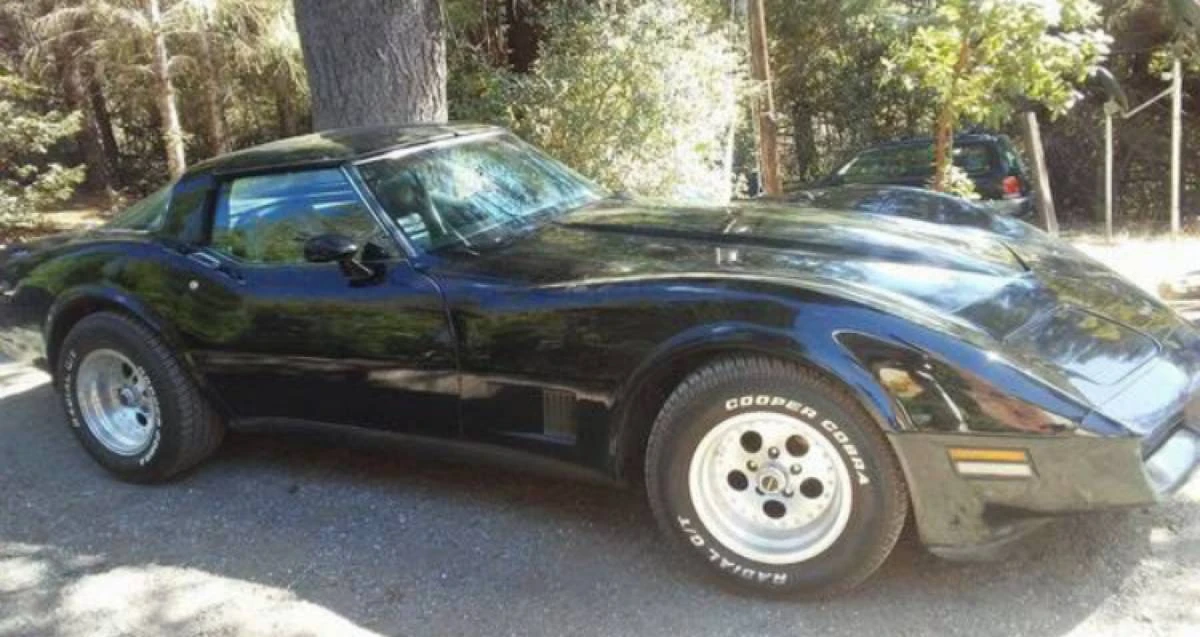 1981 Chevrolet Corvette C3 - Image 13 of 13