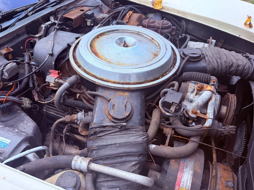 1981 Chevrolet Corvette C3 - Image 5 of 16