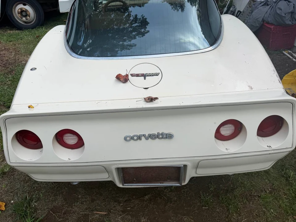 1981 Chevrolet Corvette C3 - Image 14 of 16