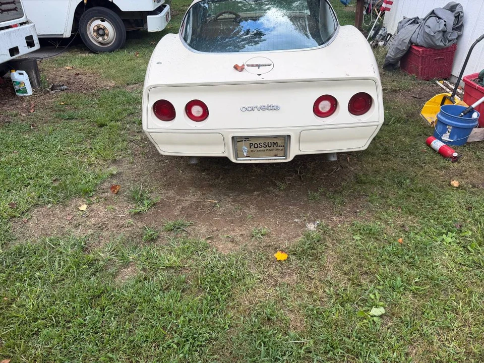 1981 Chevrolet Corvette C3 - Image 3 of 16