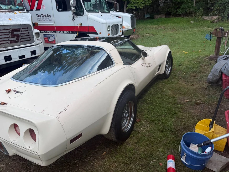 1981 Chevrolet Corvette C3 - Image 13 of 16