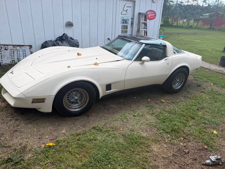 1981 Chevrolet Corvette C3 - Image 16 of 16