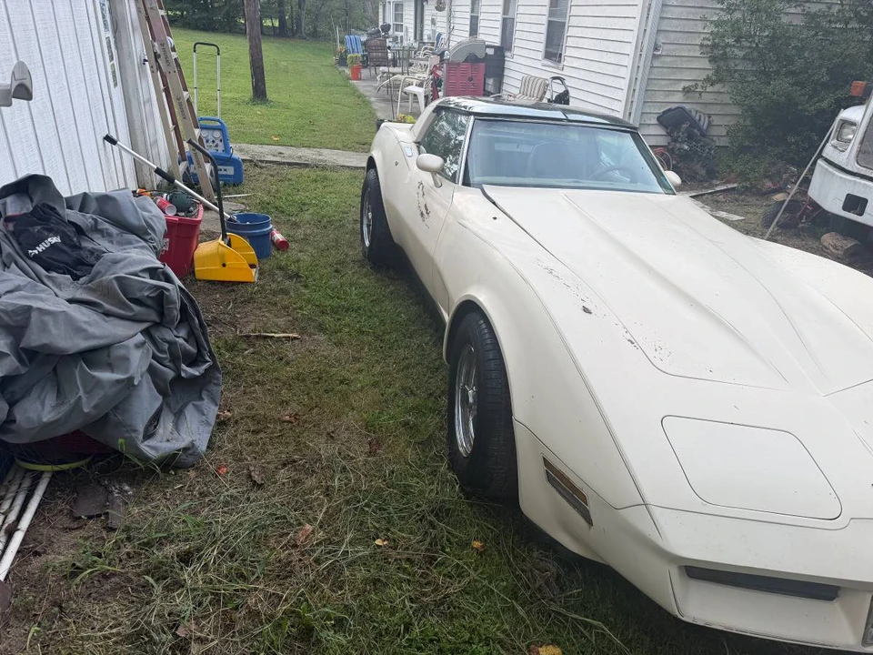 1981 Chevrolet Corvette C3 - Image 4 of 16