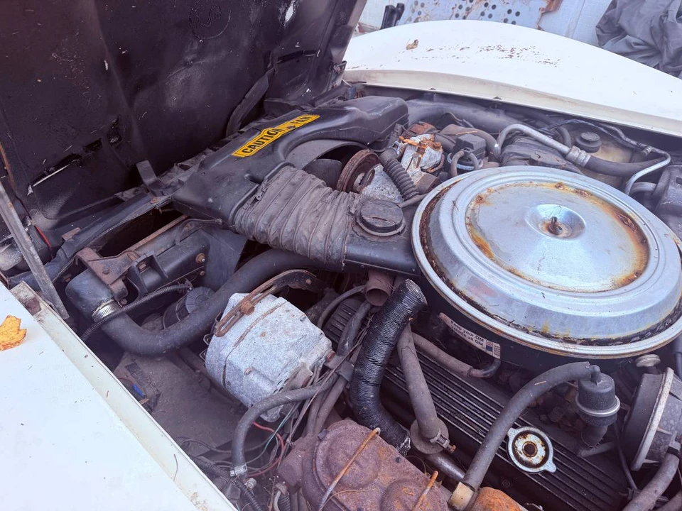 1981 Chevrolet Corvette C3 - Image 7 of 16