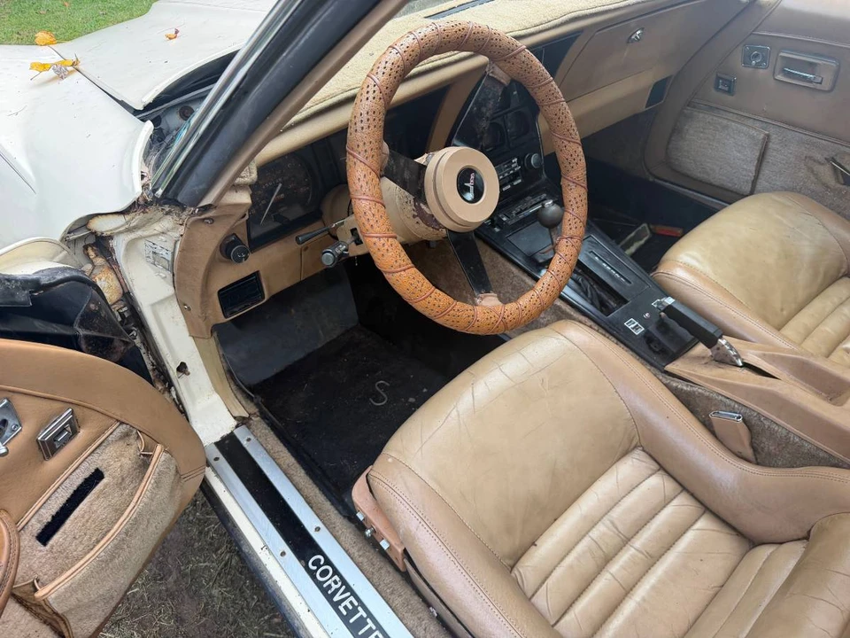 1981 Chevrolet Corvette C3 - Image 10 of 16