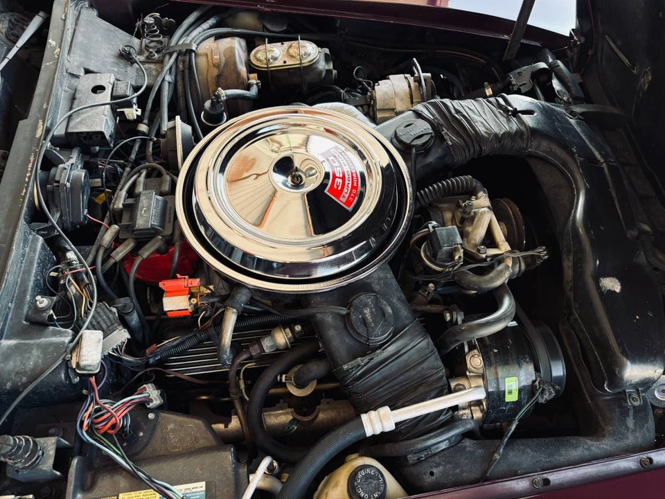 1981 Chevrolet Corvette C3 - Image 5 of 24