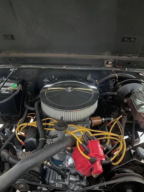 1981 Chevrolet Corvette C3 - Image 4 of 23
