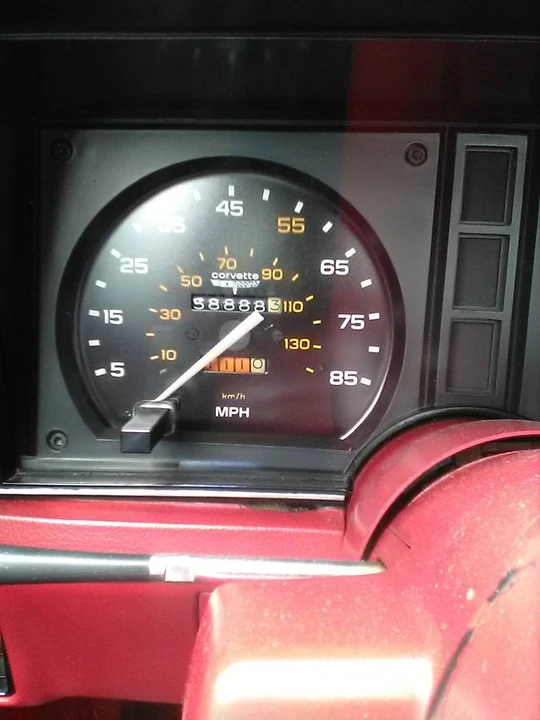 1981 Chevrolet Corvette C3 - Image 11 of 20