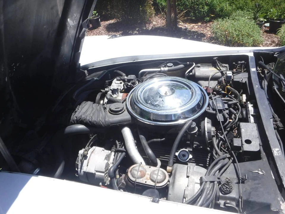 1981 Chevrolet Corvette C3 - Image 14 of 15