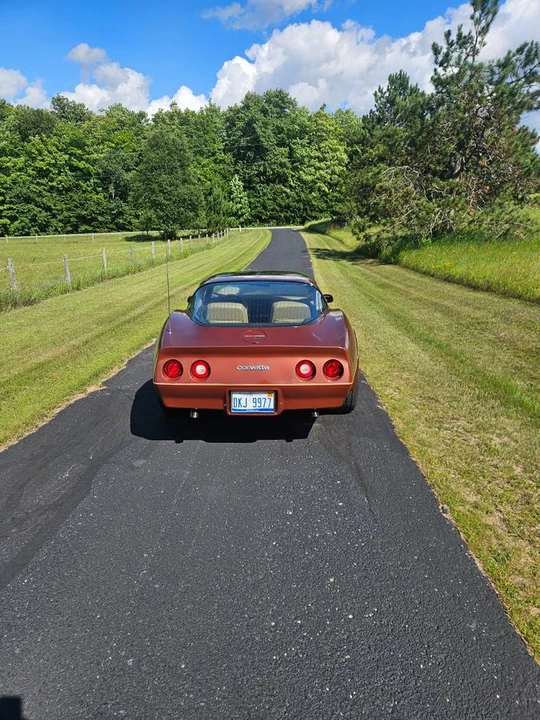 1981 Chevrolet Corvette C3 - Image 2 of 4