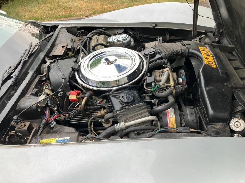 1981 Chevrolet Corvette C3 - Image 19 of 19