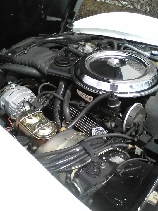 1981 Chevrolet Corvette C3 - Image 15 of 20