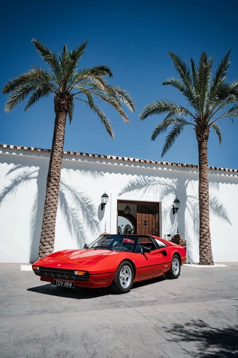 1981 Ferrari 308 GTS - Image 13 of 30