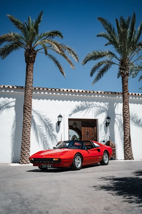 1981 Ferrari 308 GTS - Image 14 of 30