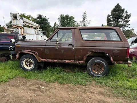 1981 Ford Bronco