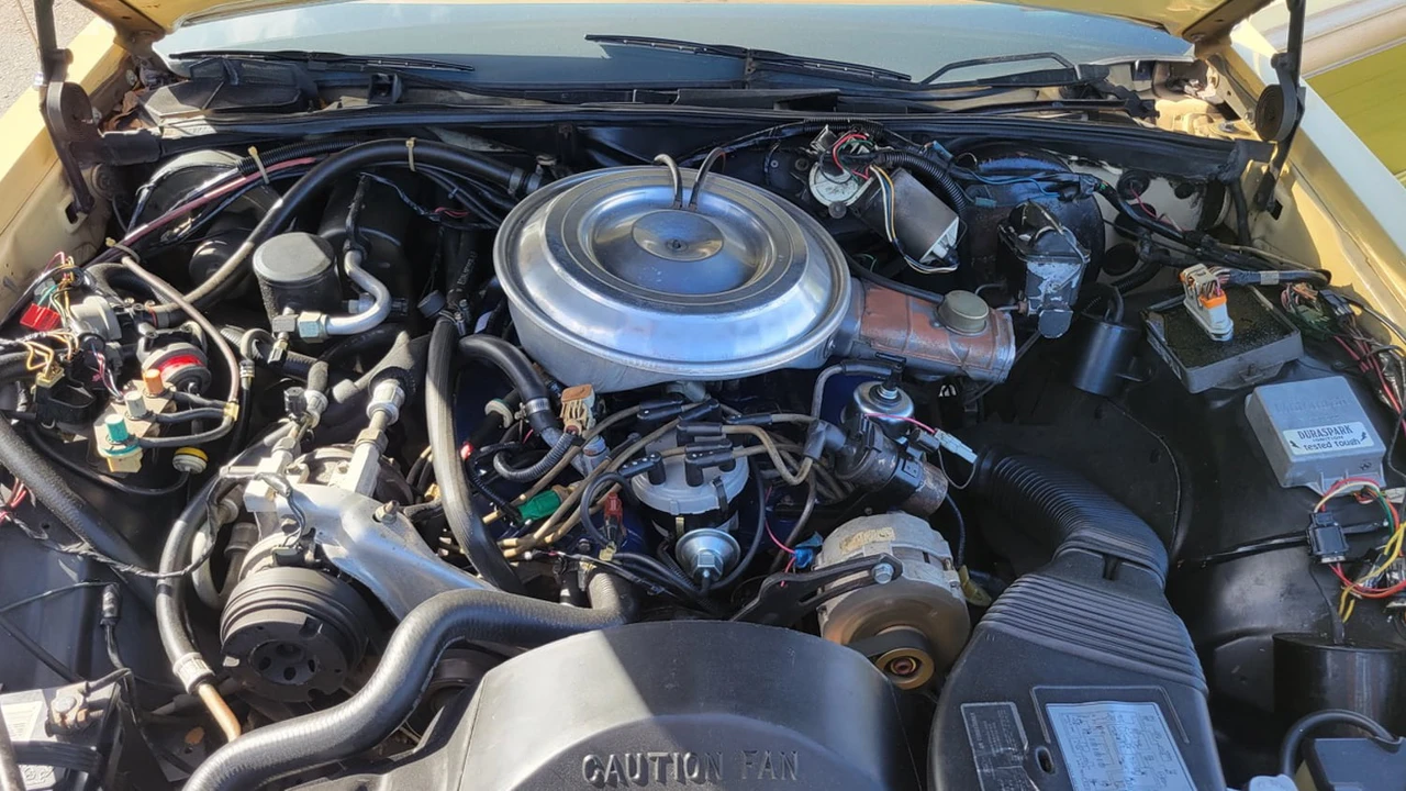 1981 Ford Country Squire - Image 3 of 10