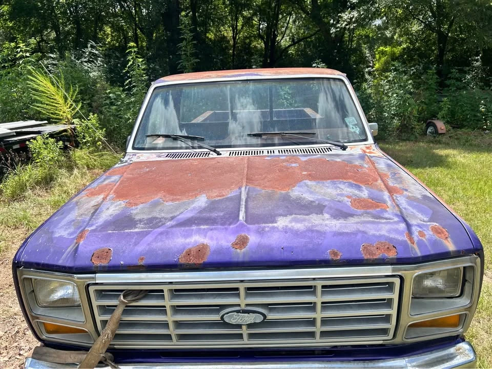 1981 Ford F-Series 7th Gen - Image 5 of 10