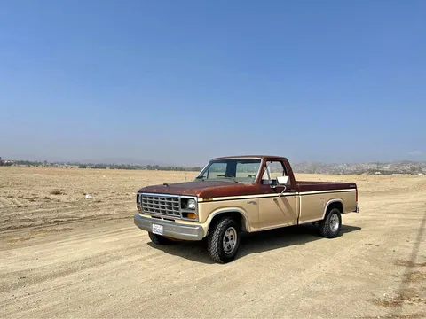 1981 Ford F-100 Custom