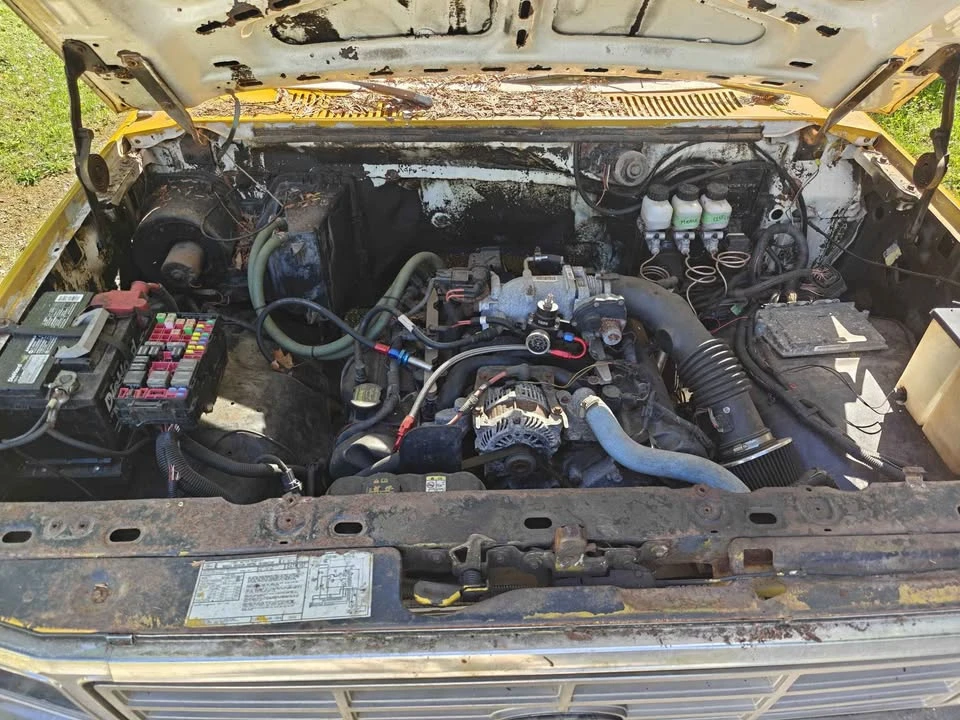 1981 Ford F-Series 7th Gen - Image 5 of 5