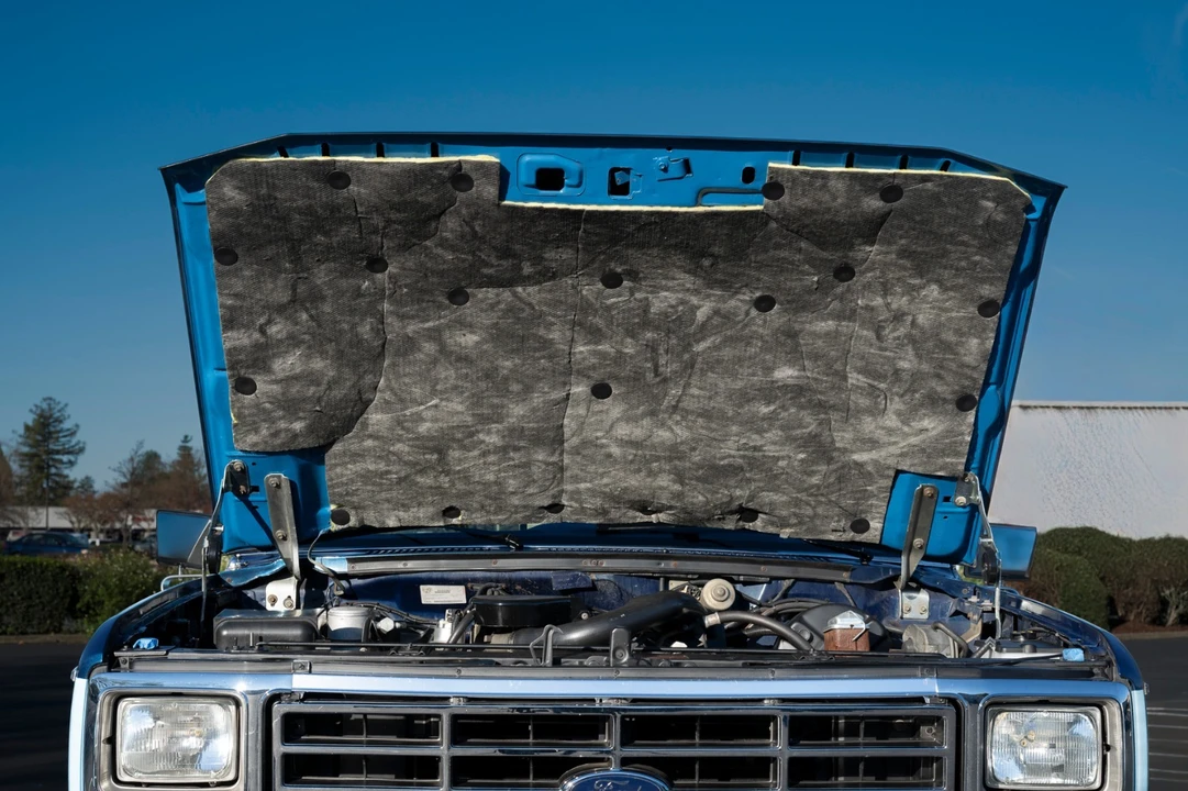 1981 Ford F-Series 7th Gen - Image 22 of 23