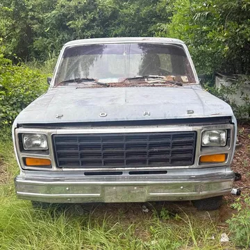 1981 Ford F100